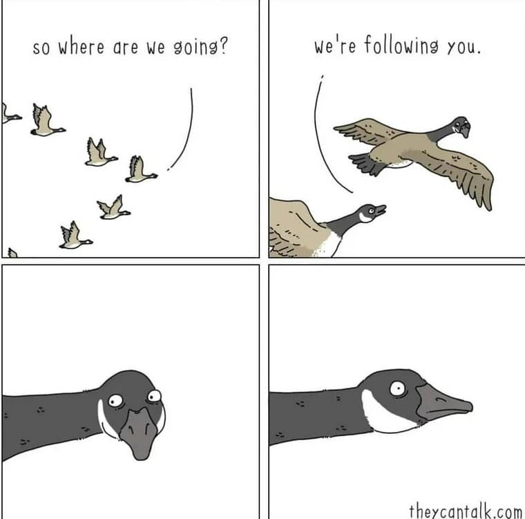 so where are we going? we' re following you. theycantalk.com