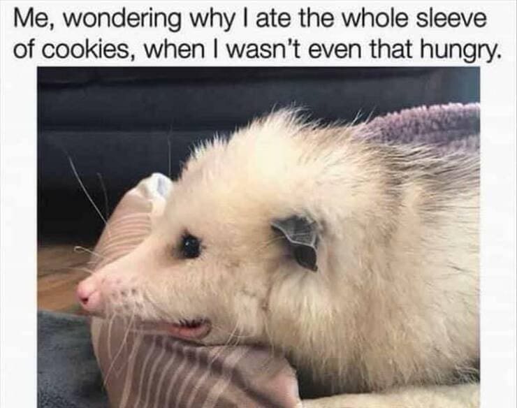 Me, wondering why I ate the whole sleeve of cookies, when I wasn't even that hungry.