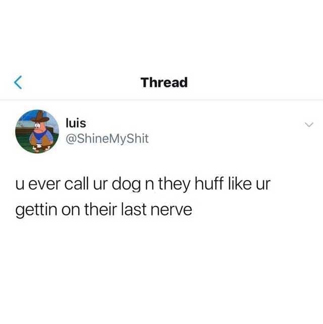 < Thread luis @ShineMyShit u ever call ur dog n they huff like ur gettin on their last nerve く
