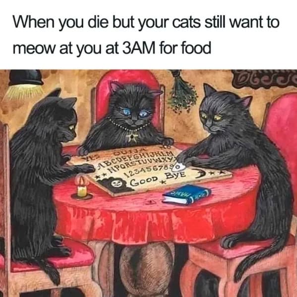 classical art memes, old painting jokes, art museum humor, renaissance comedic bits, renaissance memes, renaissance painting, centuries-old canvas wonders, refined brushstroke creations, grand period visuals, museum memes, exhibit comedic references, curated gallery funnies, exhibit-based laughs, art memes, old art humor, historical comedic illusions, archaic masterpiece jokes, vintage painting wit