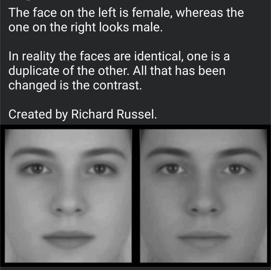 cool optical illusions, optical illusions, clever illusions, engaging illusions, eye-tricking illusions, mind bending illusions, reality-twisting visuals, confusion-inducing pictures, perplexing illusions, deceptive imagery, cunning art illusions, vantage-based illusions, optical puzzle, visual riddle, perception test, brain-teasing pattern