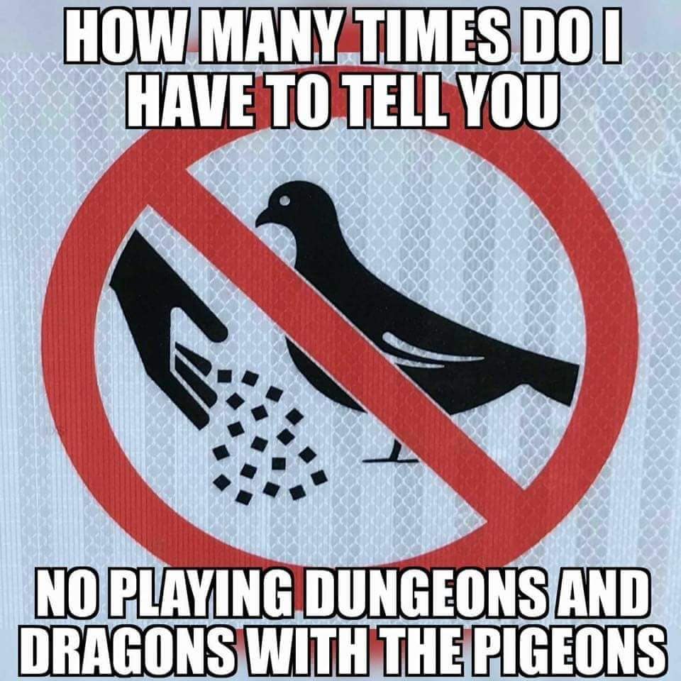 dnd memes, d&d memes, dungeons & dragons, Dungeons & Dragons memes, tabletop memes, RPG memes, critical fail memes, bard memes, dungeon master memes, nat 1 memes, seduction memes, DM struggles