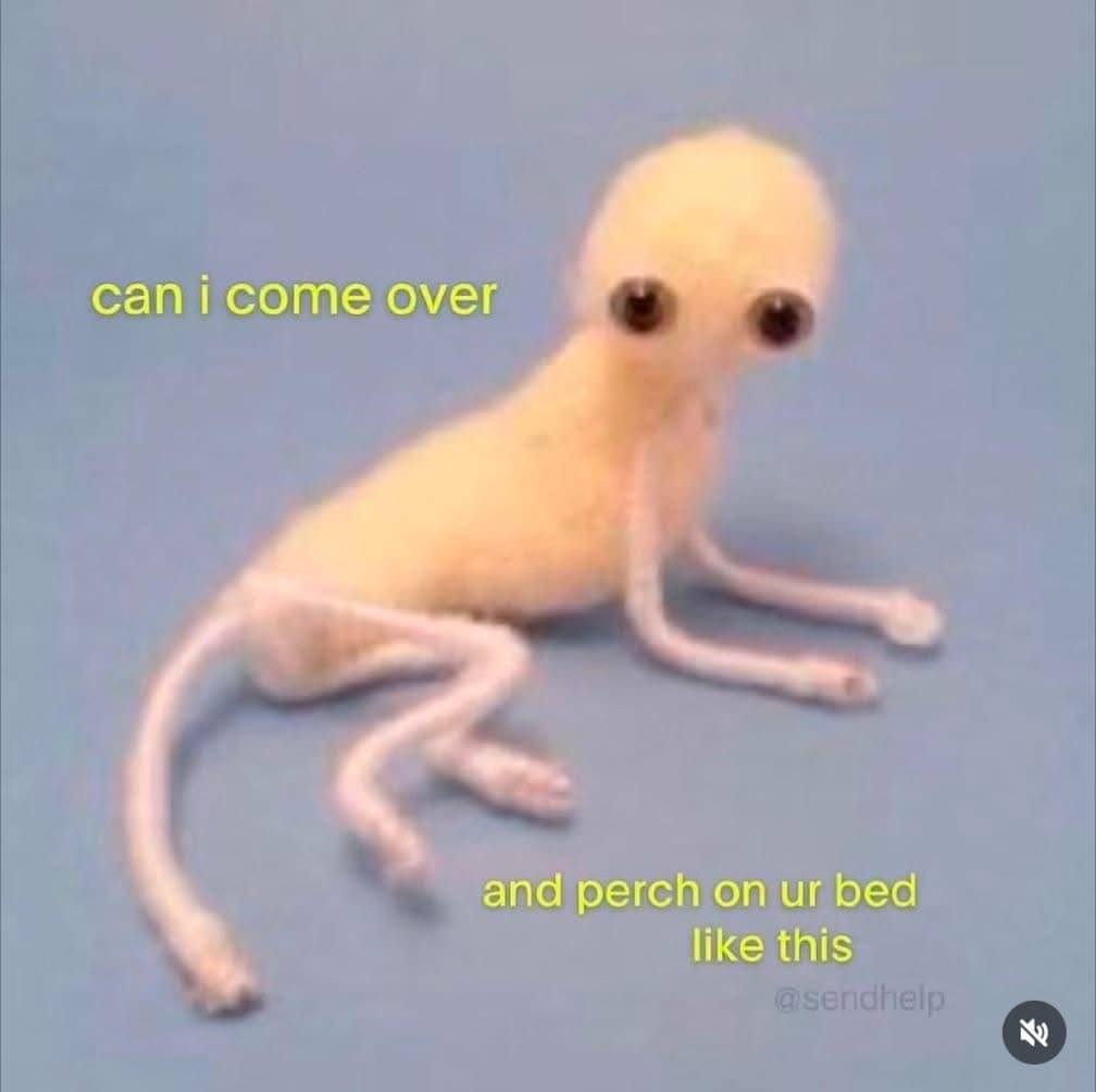 can i come over and perch on ur bed like this