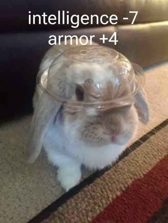 intelligence -7 armor +4