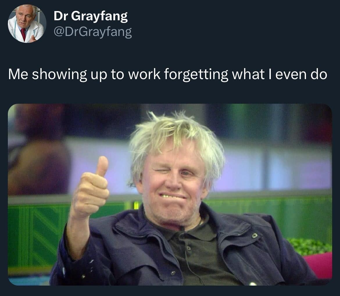 Me showing up to work forgetting what I even do