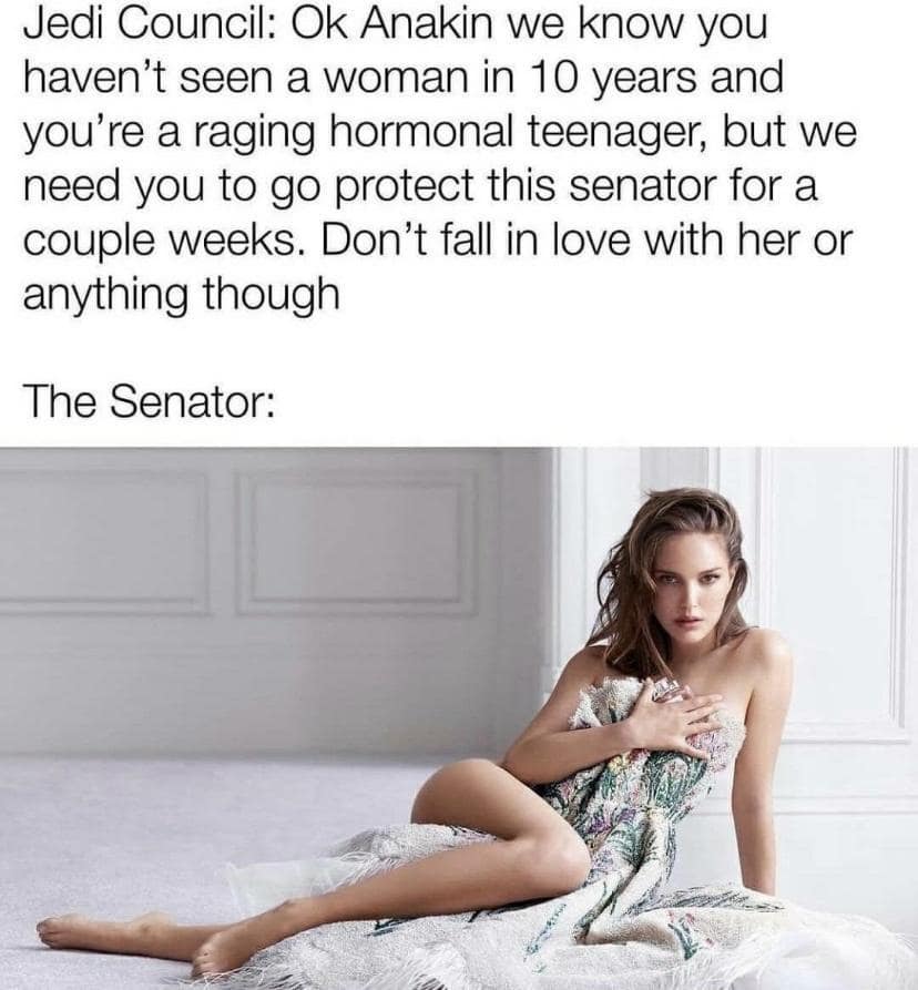 Jedi Council: Ok Anakin we know you haven't seen a woman in 10 years and you're a raging hormonal teenager, but we need you to go protect this senator for a couple weeks. Don't fall in love with her or anything though The Senator: