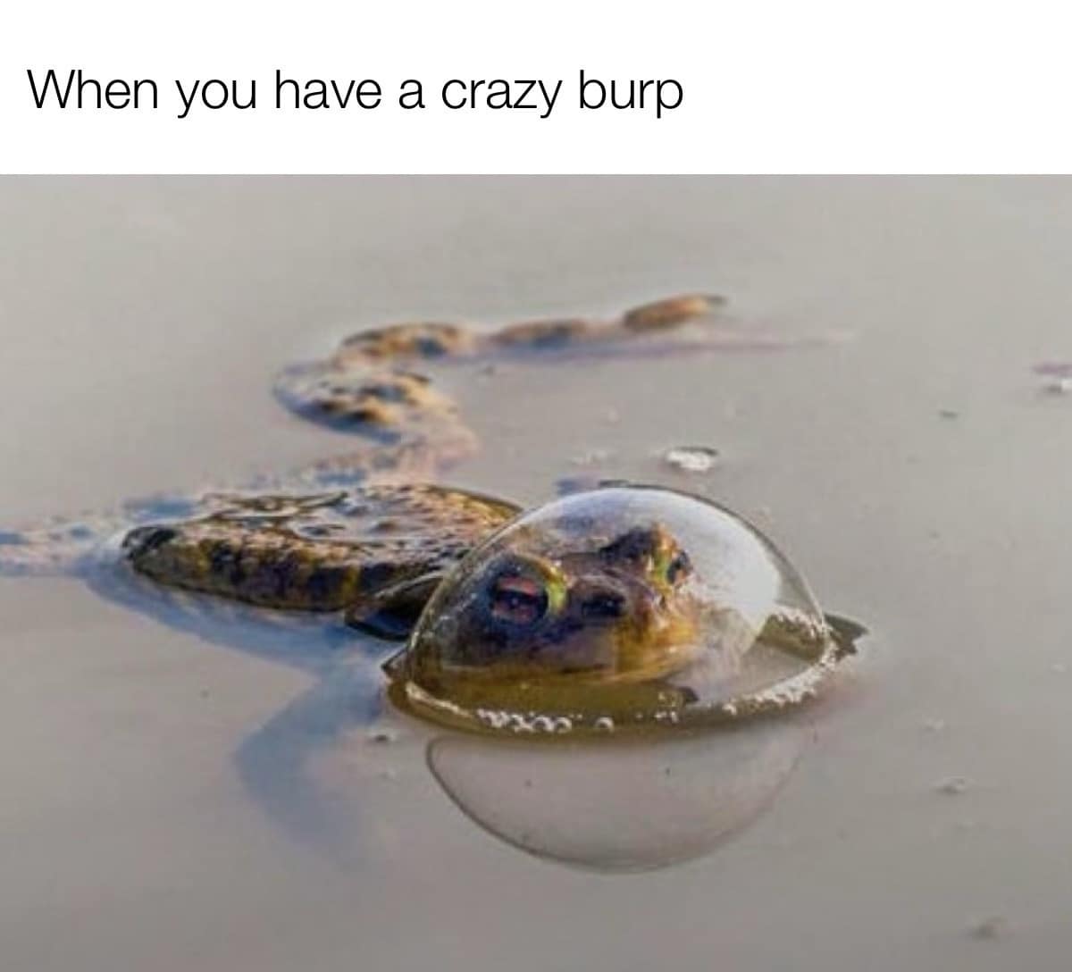 When you have a crazy burp