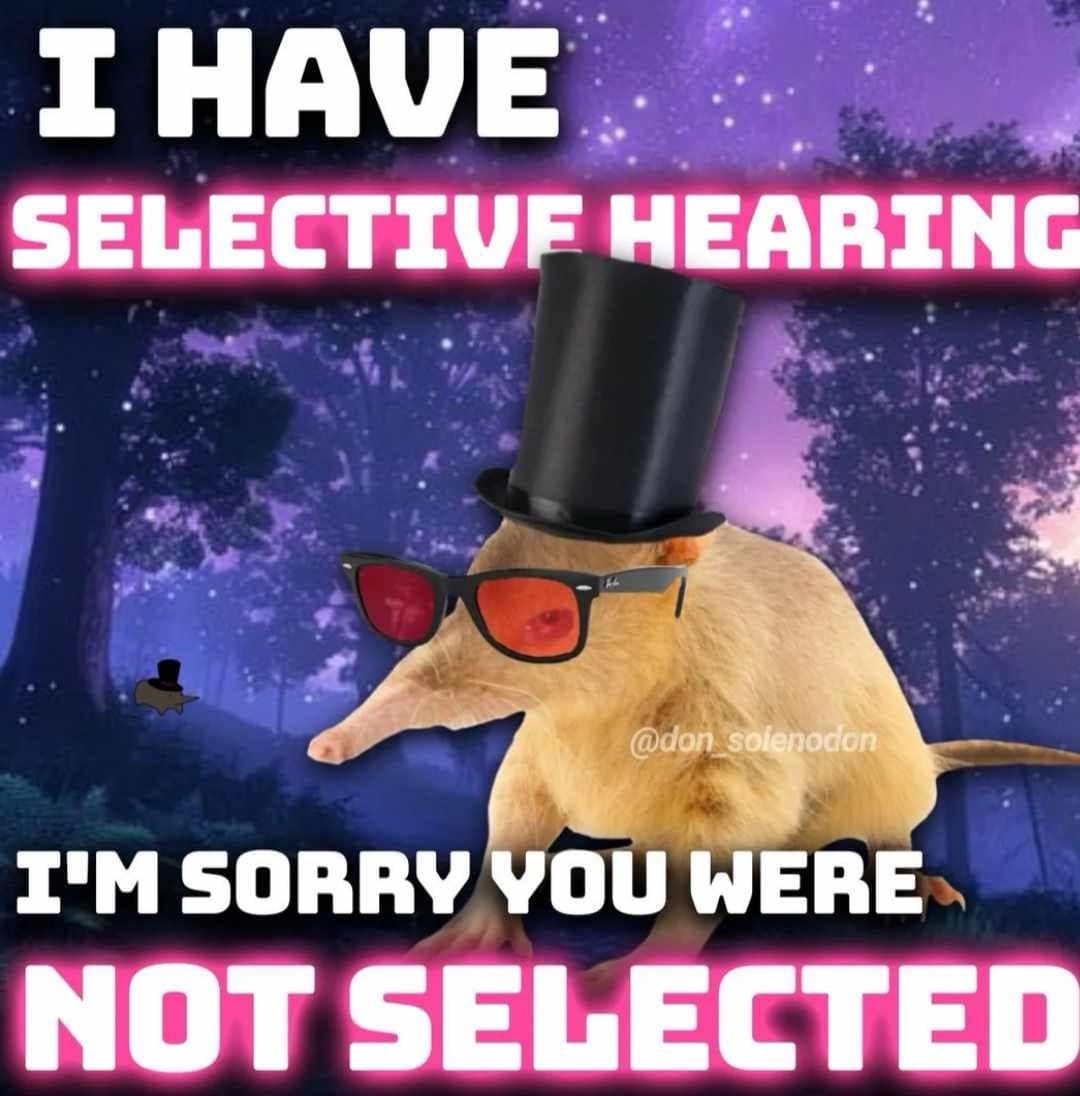 meme dump, funny memes, hilarious memes, comedic meme spree, curated meme set, net joke compilation, meme gallery, mild comedic images, standard net humor bits, short amusement snapshots, deeper comedic lines, unstoppable laughter triggers, comedic meltdown seeds, prime comedic finds, top-tier net funnies, unstoppable comedic bombs
