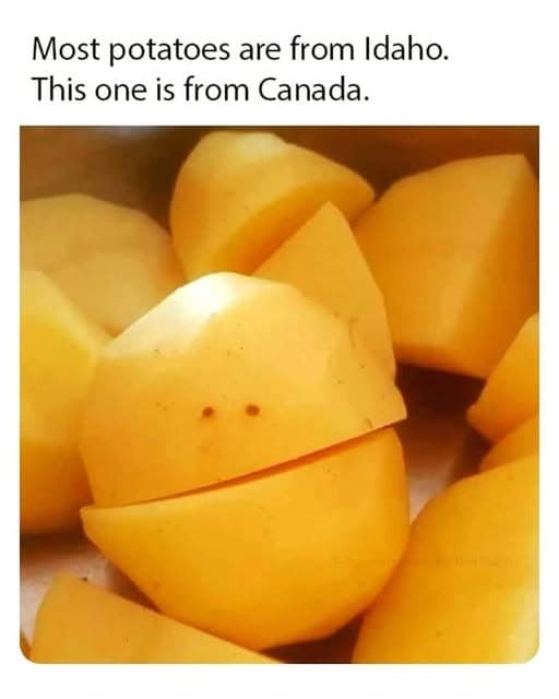 meme dump, funny memes, hilarious memes, meme gallery, meme collection, meme roundup, comedic meme spree, weekend humor bundle, curated net images, mild comedic picks, short net amusements, quick-laugh bits, dank meme dump, dank memes, sharper comedic triggers, unstoppable comedic blasts, bigger-laugh illusions, top-tier comedic finds, prime net humor, unstoppable comedic references