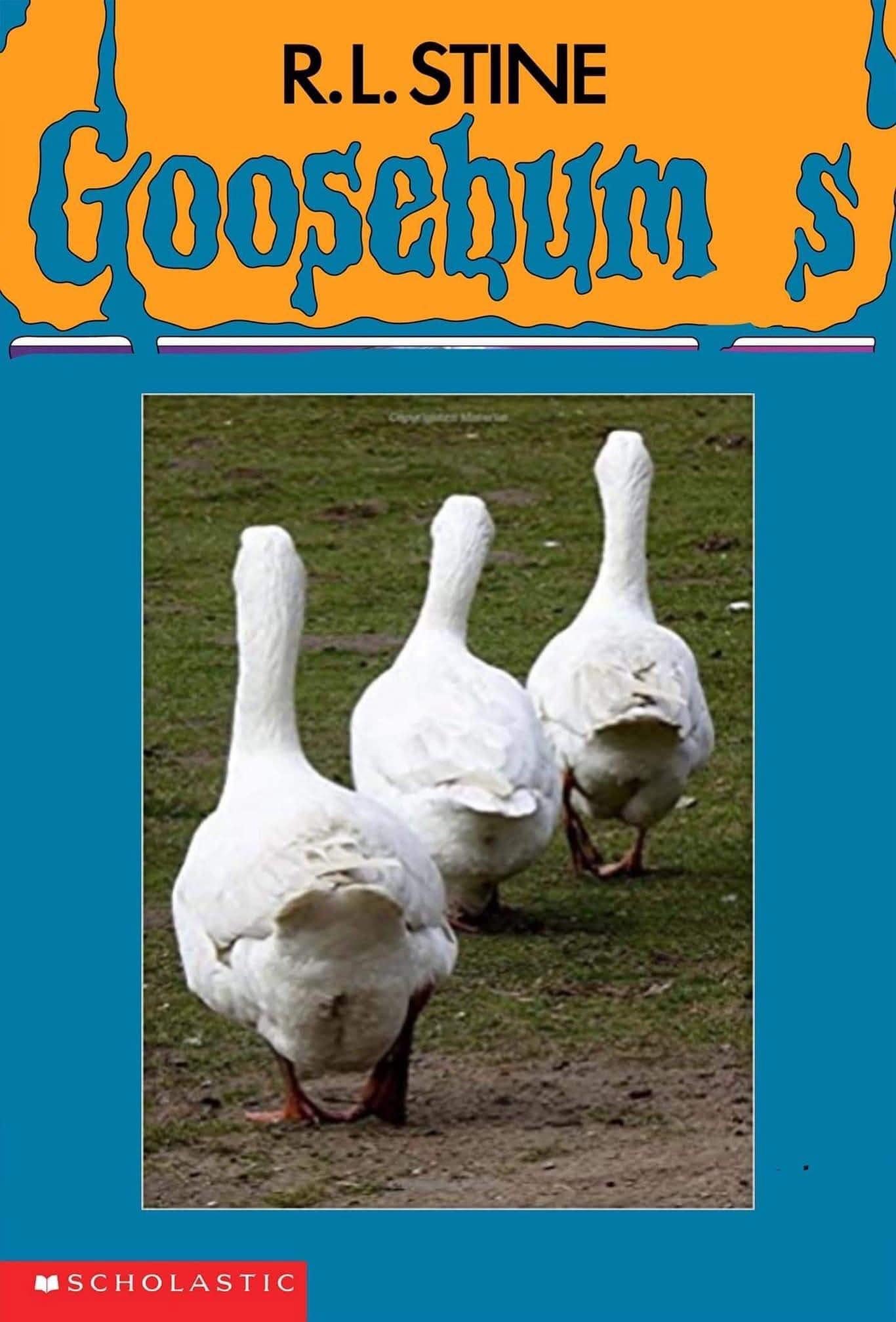 R.L. STINE Goosebums A SCHOLASTIC