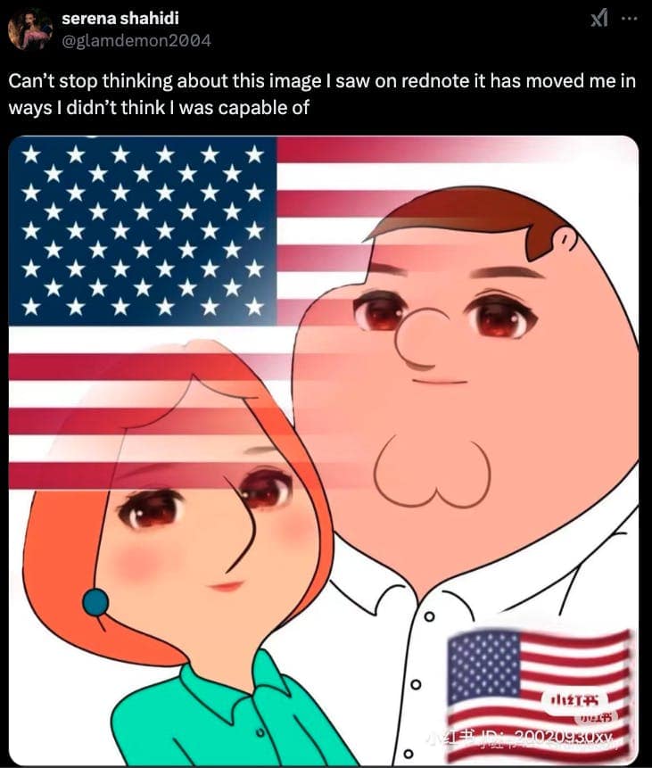 rednote memes, tiktok ban memes, TikTok ban news, ban TikTok updates, TikTok security concerns, TikTok shutdown news, TikTok alternatives, short-form video apps, best TikTok replacements, platforms like TikTok, Ban on Chinese apps, US app restrictions, apps under security scrutiny, foreign app ban news, rednote tweets