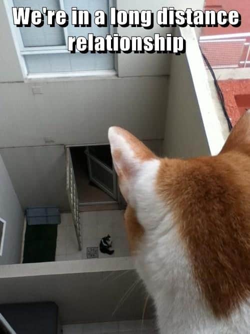 relationship memes, couple memes, Funny Relationship Memes, Couples Memes, Love Life Memes, Romantic Comedy Memes, Partnership Humor, Significant Other Jokes
