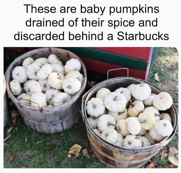 science memes, Scientific Humor, lab humor, research humor, Funny Science Facts, entertaining science facts, amusing science discoveries, STEM Jokes, science, technology, engineering, and mathematics jokes
