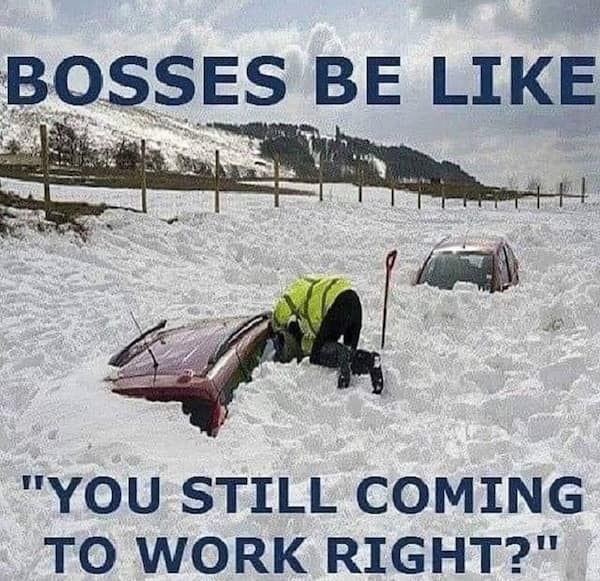 BOSSES BE LIKE "YOU STILL COMING TO WORK RIGHT?"