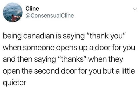 Canadian humor, Great White North memes, maple syrup jokes, hockey memes, Canadian weather, poutine humor, polite apologies, winter jokes, Canadian pride
