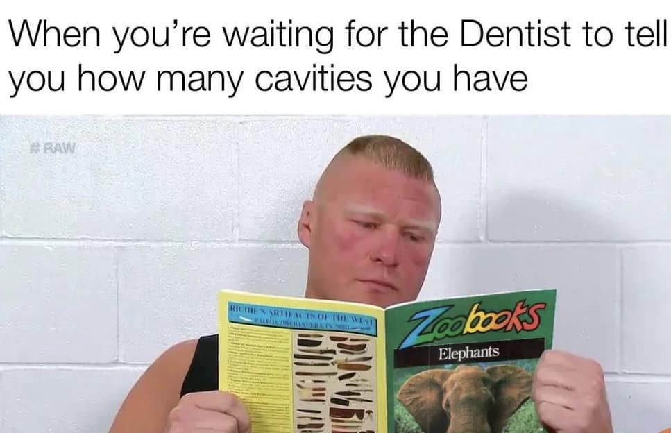 When you're waiting for the Dentist to tell you how many cavities you have ITAC IS OF Zechoeks Elephants