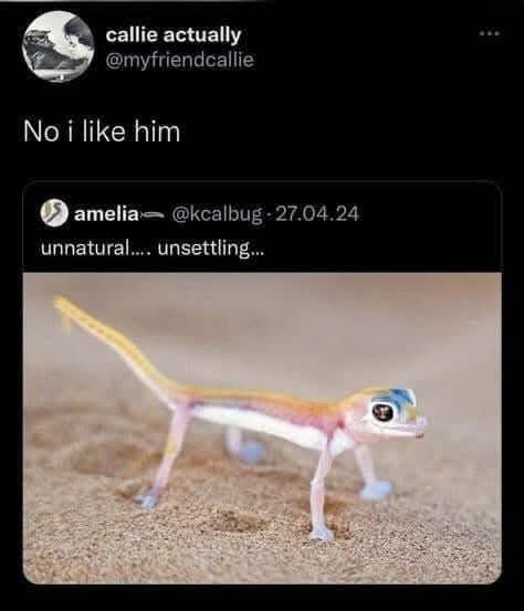 callie actually @myfriendcallie No i like him amelia:-@kcalbug 27.04.24 unnatural... unsettling..
