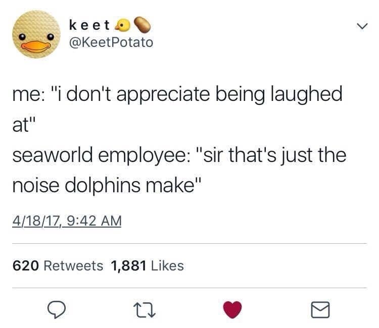 classic memes, vintage memes, viral tweets, timeless jokes, well-known internet hits, enduring funnies, nostalgic memes, reminiscent humor, old-school laughs, retro comedic bits, internet humor, digital wit, online comedic style, net-based giggles, top posts, social quips, trending microblog lines, old memes, best memes