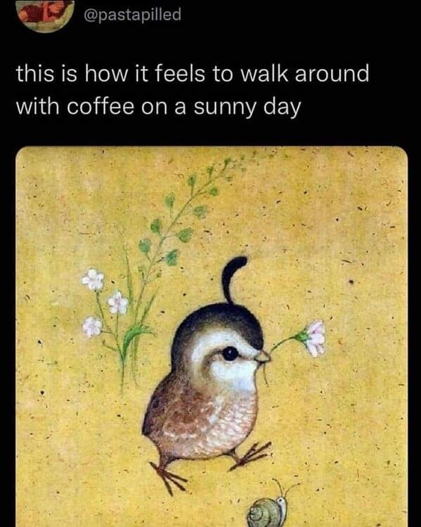 coffee meme, coffee memes, caffeinated pictures, brew-based humor, espresso fun, morning coffee, dawn caffeine, early-day beverage, wake-up elixir, coffee jokes, coffee puns, beverage comedy, warm mug punchlines