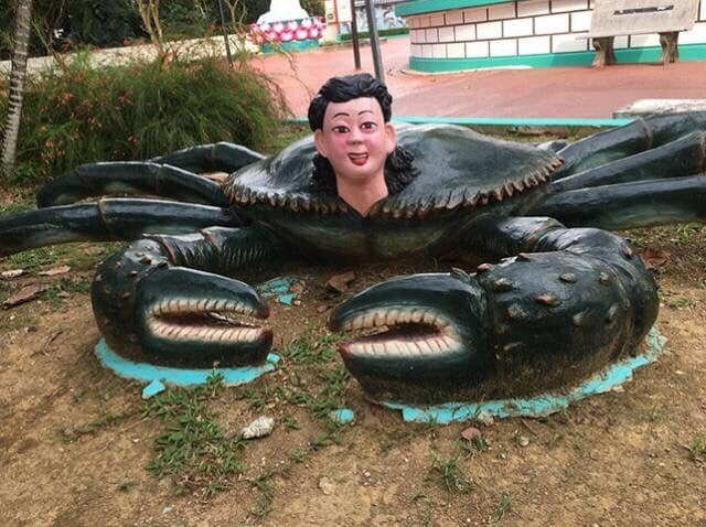 cursed images, cursed photos, haunted photos, horrifying snapshots, abominable visuals, weird pictures, odd visuals, strange imagery, freaky images, bizarre photos, peculiar shots, outlandish pics, uncanny depictions, unsettling images, disconcerting visuals, disturbing photos, eerie captures