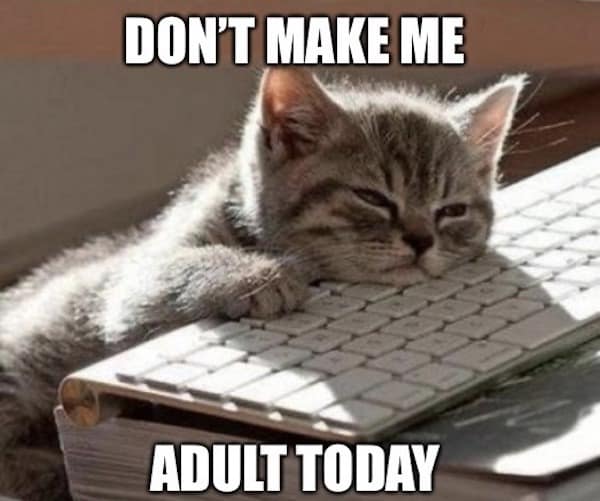 DON'T MAKE ME ADULT TODAY