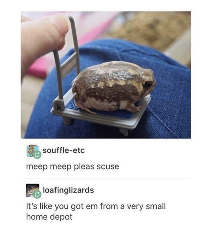 meme dump, funny memes, hilarious memes, dank memes, dank meme dump, meme collection, humor gallery, joke roundup, Sunday memes, lazy humor, procrastination jokes, weekend jokes, chill memes, relaxation humor,
