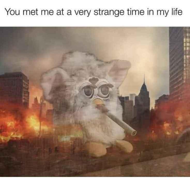 meme dump, funny memes, hilarious memes, dank memes, dank meme dump, meme collection, humor gallery, joke roundup, Sunday memes, lazy humor, procrastination jokes, weekend jokes, chill memes, relaxation humor,