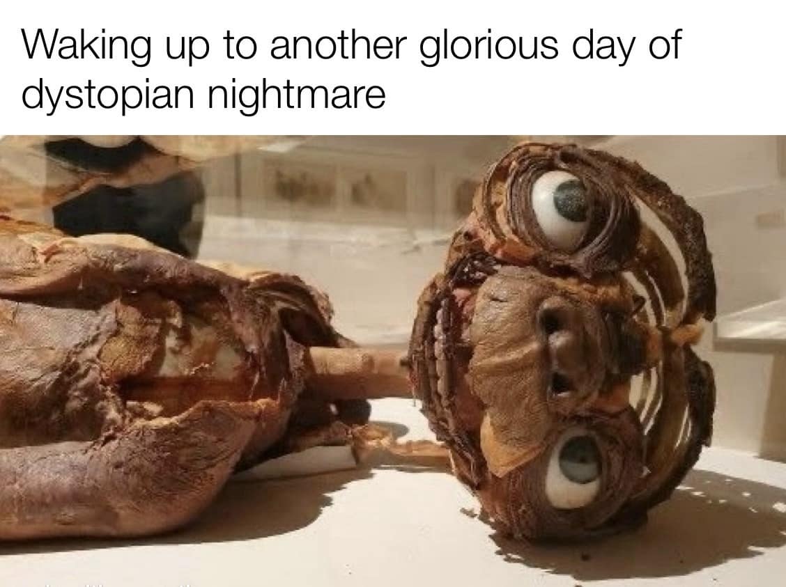 meme dump, funny memes, hilarious memes, dank memes, dank meme dump, meme collection, humor gallery, joke roundup, Sunday memes, lazy humor, procrastination jokes, weekend jokes, chill memes, relaxation humor,