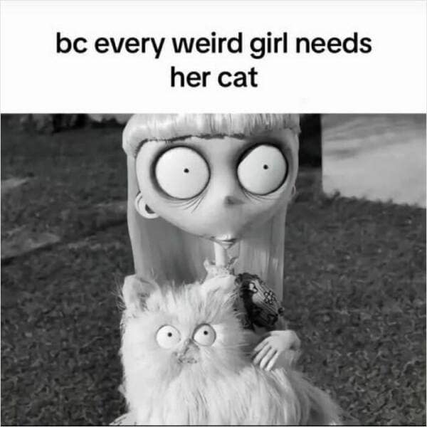 relatable memes, universal humor, shared experiences, everyday laughs, real life memes, slice-of-life images, day-to-day comedic takes, life’s quirks, everyday humor, mundane comedy, ordinary funnies, daily amusements, awkward memes, social faux pas, cringe-worthy moments, secondhand embarrassment