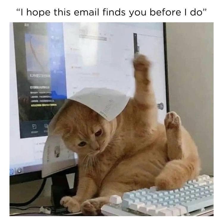 "I hope this email finds you before I do"