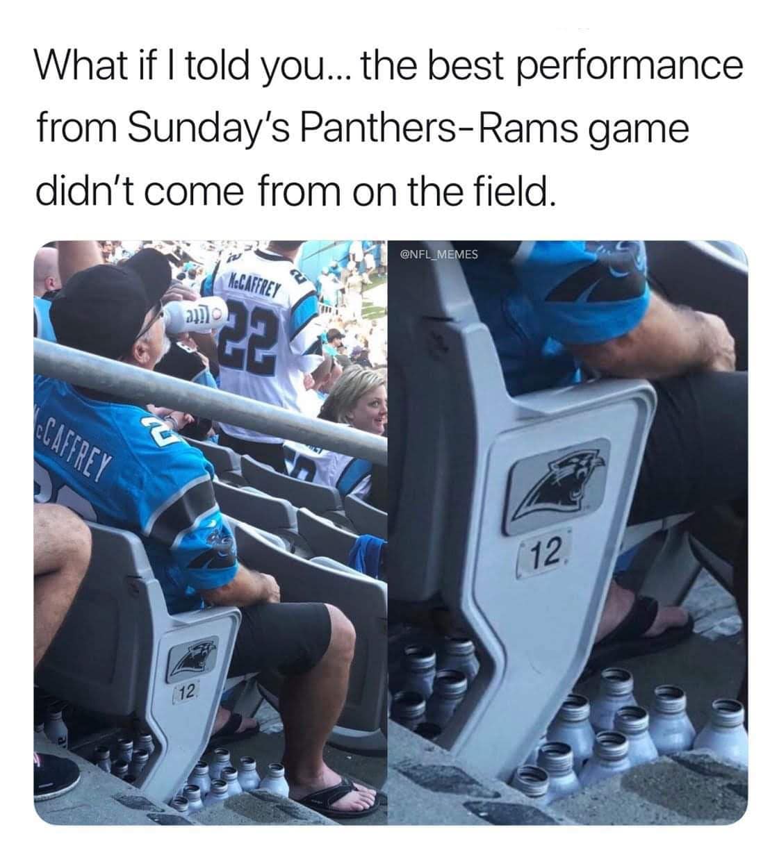 What if I told you... the best performance from Sunday's Panthers-Rams game didn't come from on the field.