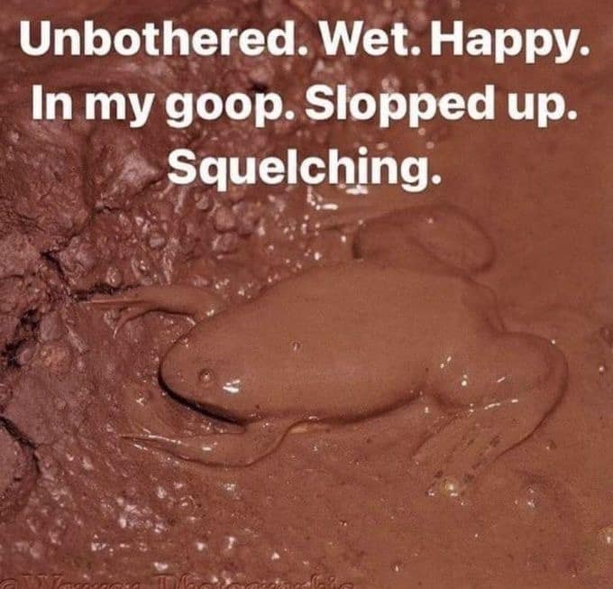 Unbothered. Wet. Happy. In my goop. Slopped up. Squelching.