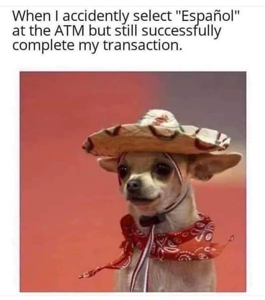 grumpy animal memes, animal memes, moody animal memes, irritated pet memes, annoyed animal memes, animal humor, funny animal pics, hilarious pet memes, wildlife memes, sarcastic memes, cynical animal memes, relatable pet humor, pet frustration memes, funny animal memes