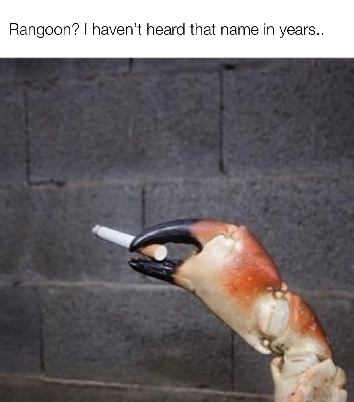 meme dump, funny memes, hilarious memes, meme collection, work memes, office memes, workplace humor, professional memes life memes, everyday memes, relatable memes, sarcastic life humor, lunchtime memes, break memes, lunchtime laughs, midday humor, meme gallery, dank memes, dank meme dump