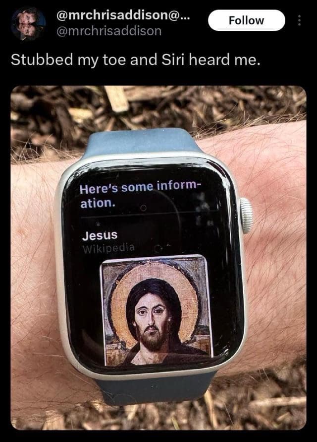 meme dump, funny memes, hilarious memes, meme dump, weekend memes, lazy Saturday memes, humorous memes, procrastination memes, funny weekend memes, humorous laziness memes, weekend humor, unproductive meme collections, meme collection, meme gallery, dank memes, dank meme dump, memes funny