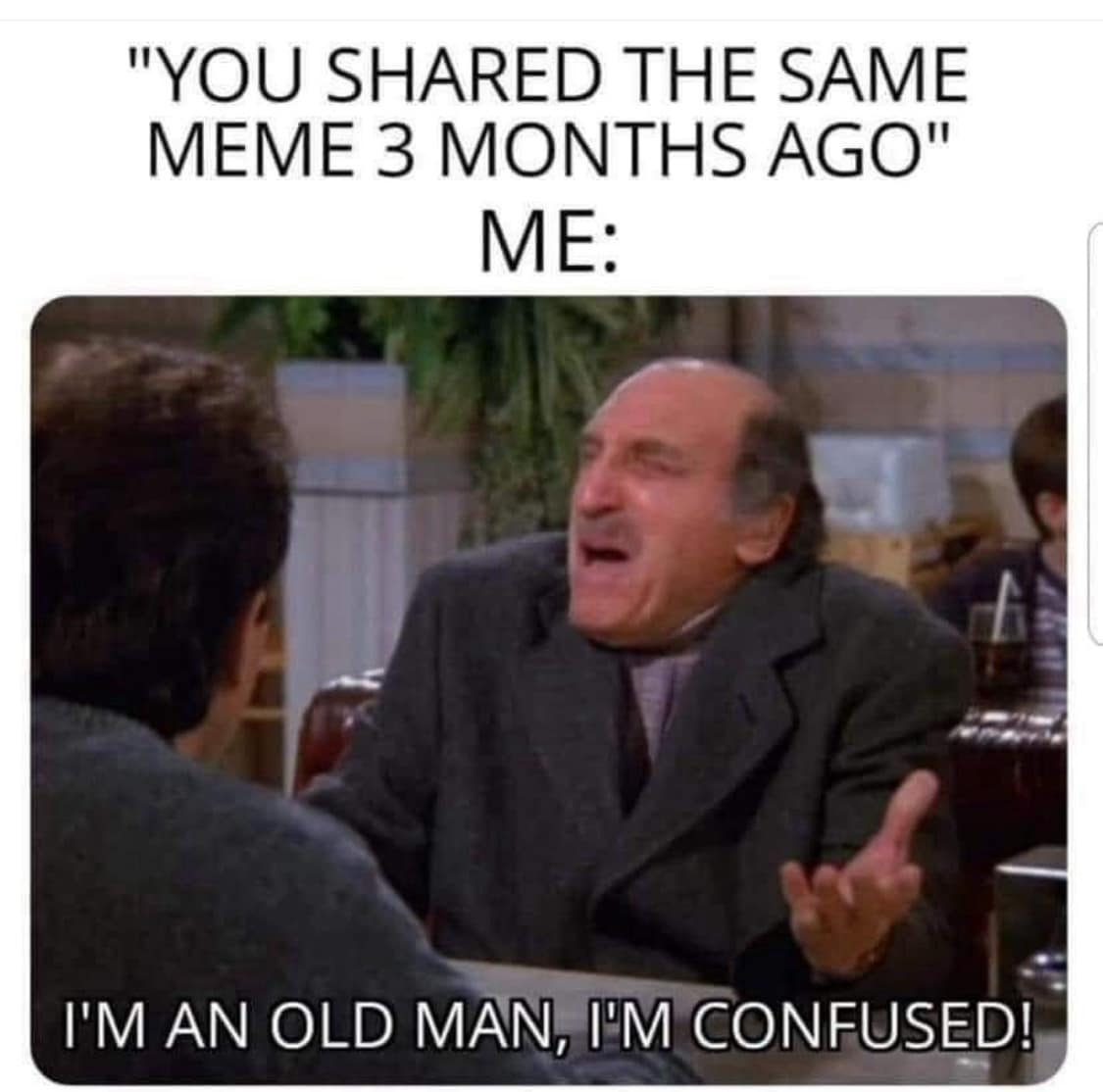 meme dump, funny memes, hilarious memes, comedic meme pile, midday laughs, mass meme feed, meme gallery, silly images, chaotic laughter, witty roasts, teasing snapshots, dank memes, dank meme dump, memes funny