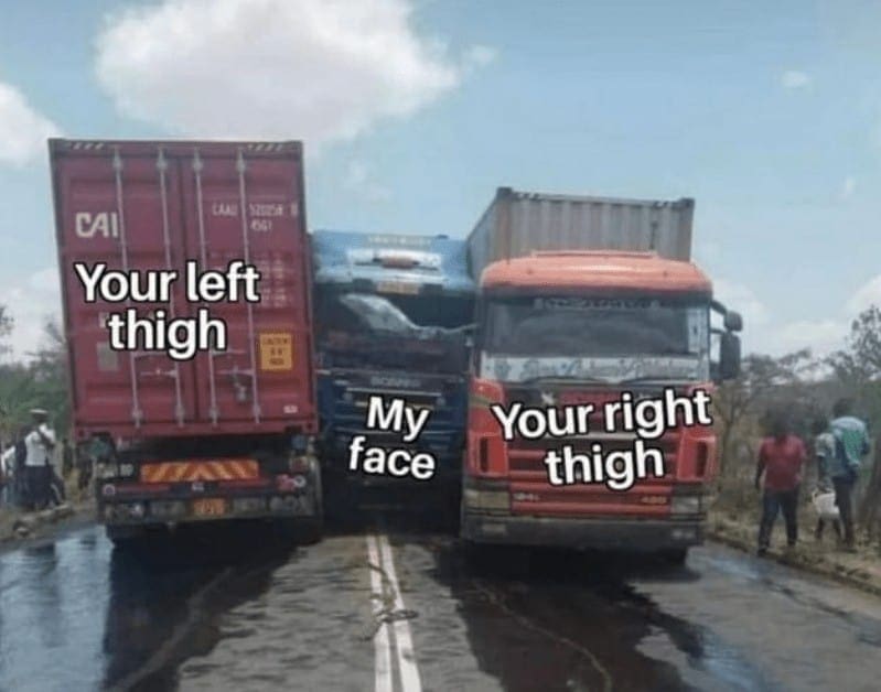 Your left thigh My face Your right thigh