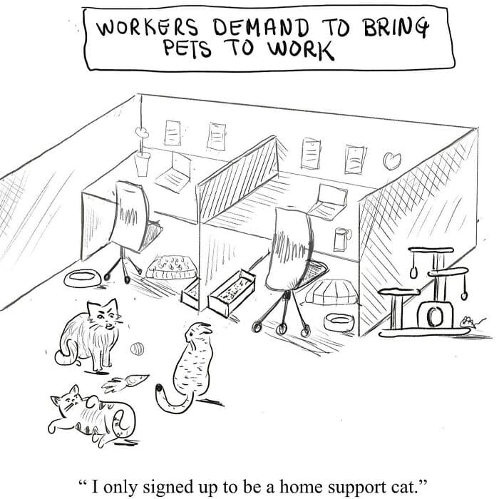 single panel comics, beverly kort, one frame comics, single panel cartoons, quick comics, comic strips, funny cartoons, humorous illustrations, witty comics, relatable comics, daily life comics, visual jokes, funny online web comics