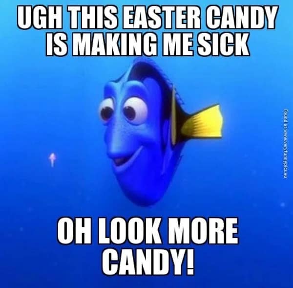 easter chocolate meme, easter candy memes, chocolate jokes, egg memes, easter egg memes, easter memes, chocolate memes, cream egg memes, peep memes