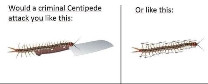 Would a criminal Centipede attack you like this: