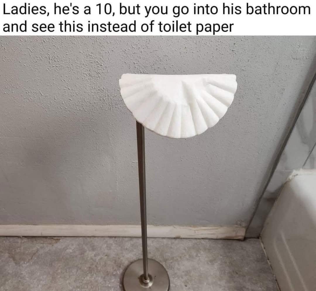 Ladies, he's a 10, but you go into his bathroom and see this instead of toilet paper
