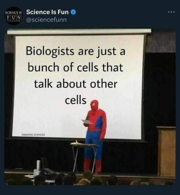 science memes, math memes, STEM memes, lab memes, geek jokes, nerd memes, academic humor, scholar laughs, calculus jokes, algebra humor, geek memes, techie laughs, nerdy funnies