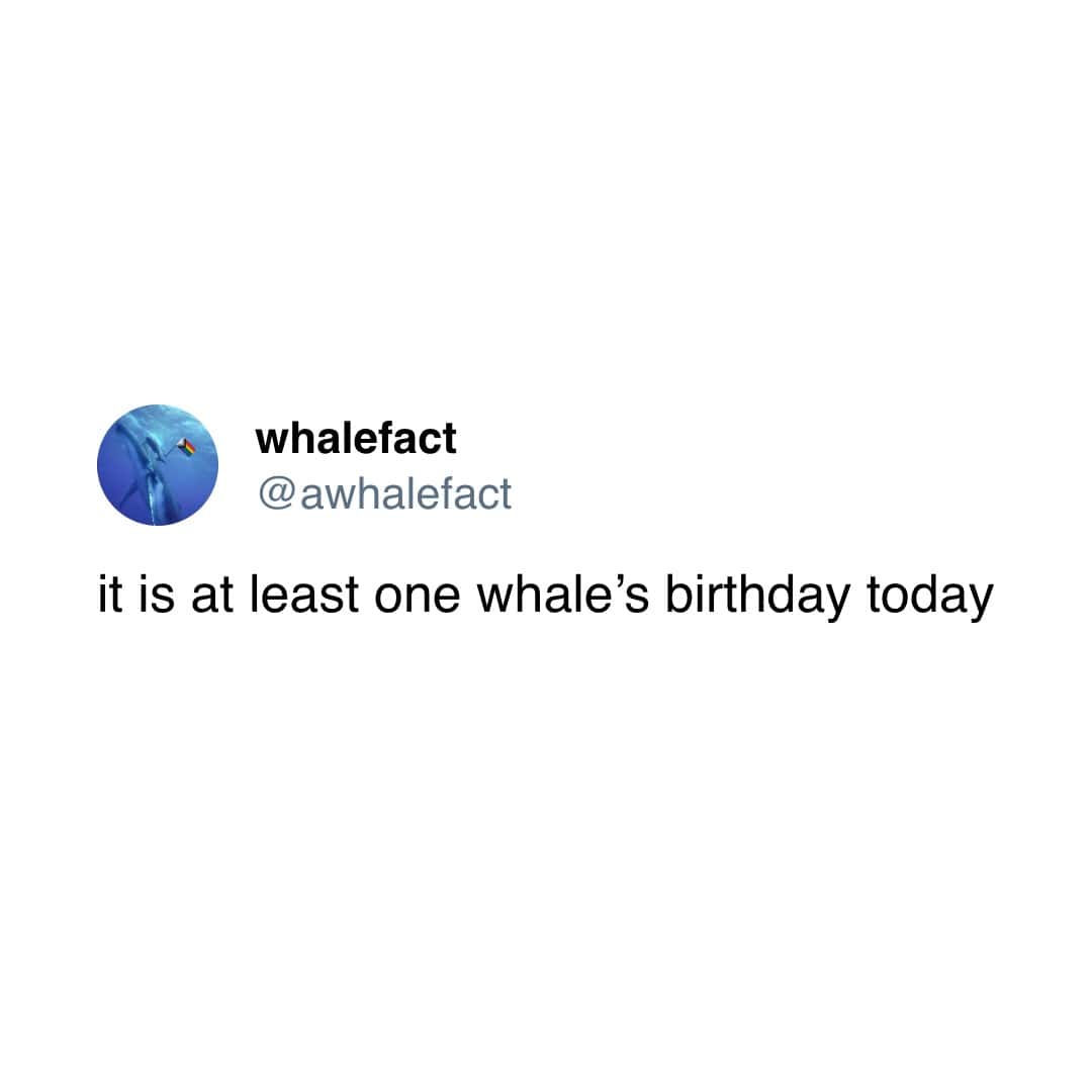 most whales are bigger than a tater tot