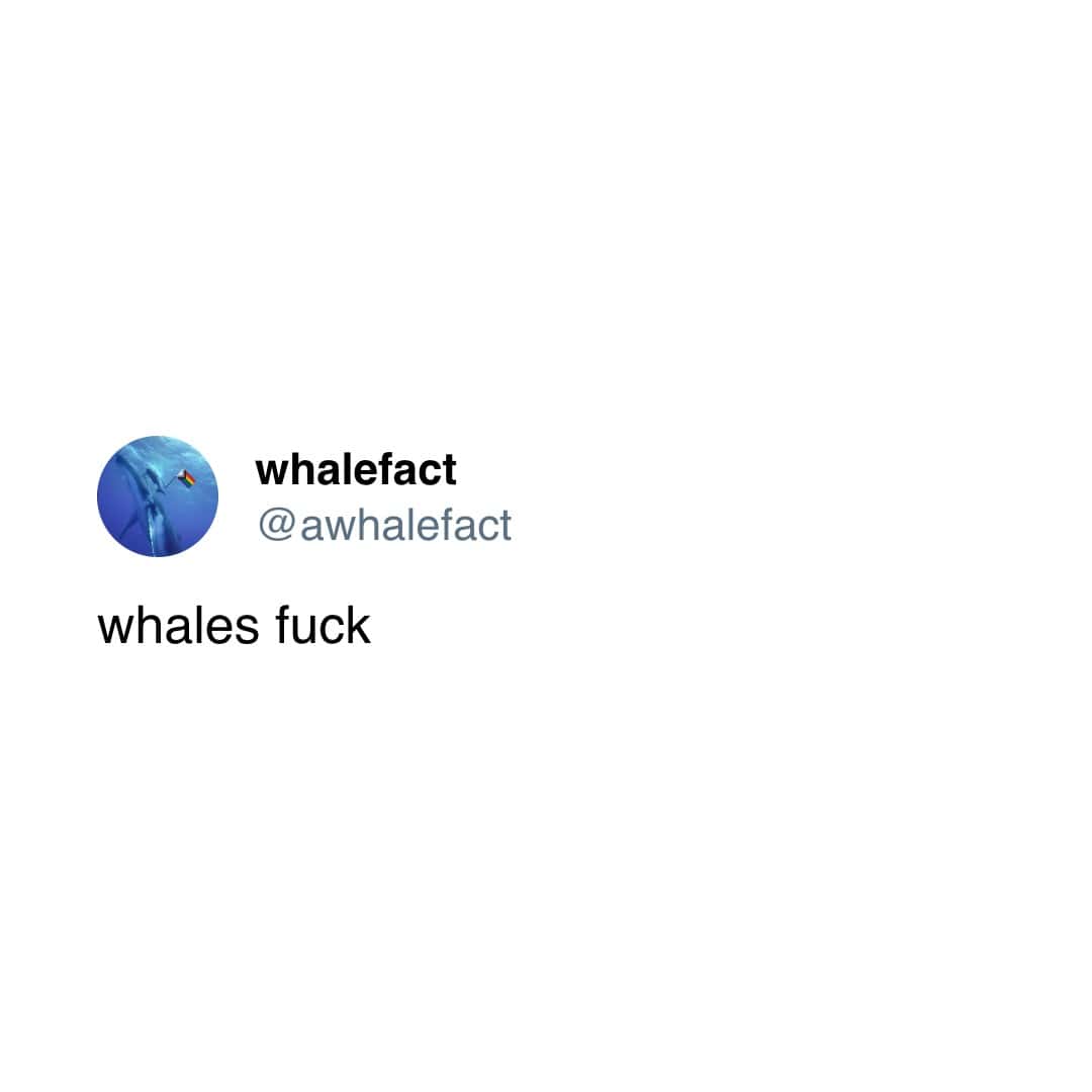 it is at least one whale's birthday today