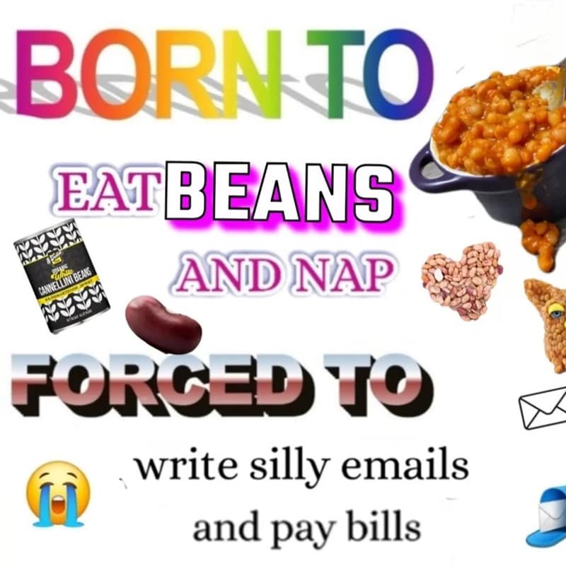 beans meme, bean memes, bean recall, beans recall, baked beans recall, baked beans, food memes, bean jokes, legume memes, bean humor, canned beans memes