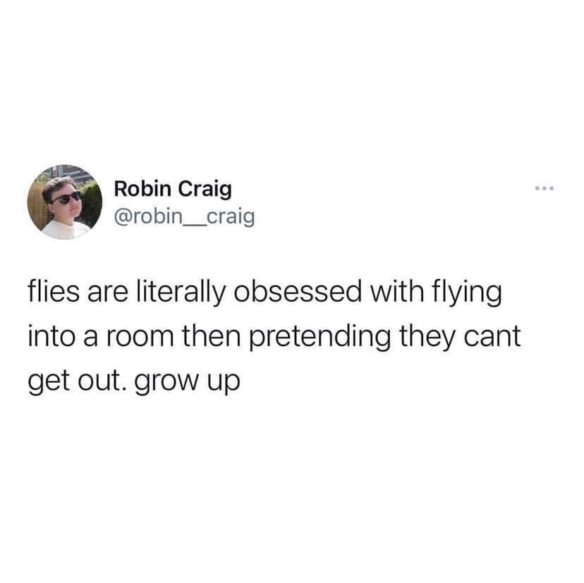 classic memes, vintage memes, viral tweets, old memes, viral memes, best memes, retro memes, timeless memes, evergreen memes, iconic memes, meme classics, nostalgic memes, meme history, throwback memes, legendary memes, meme archive, internet classics, old-school memes, meme nostalgia, vintage internet jokes, classic internet culture