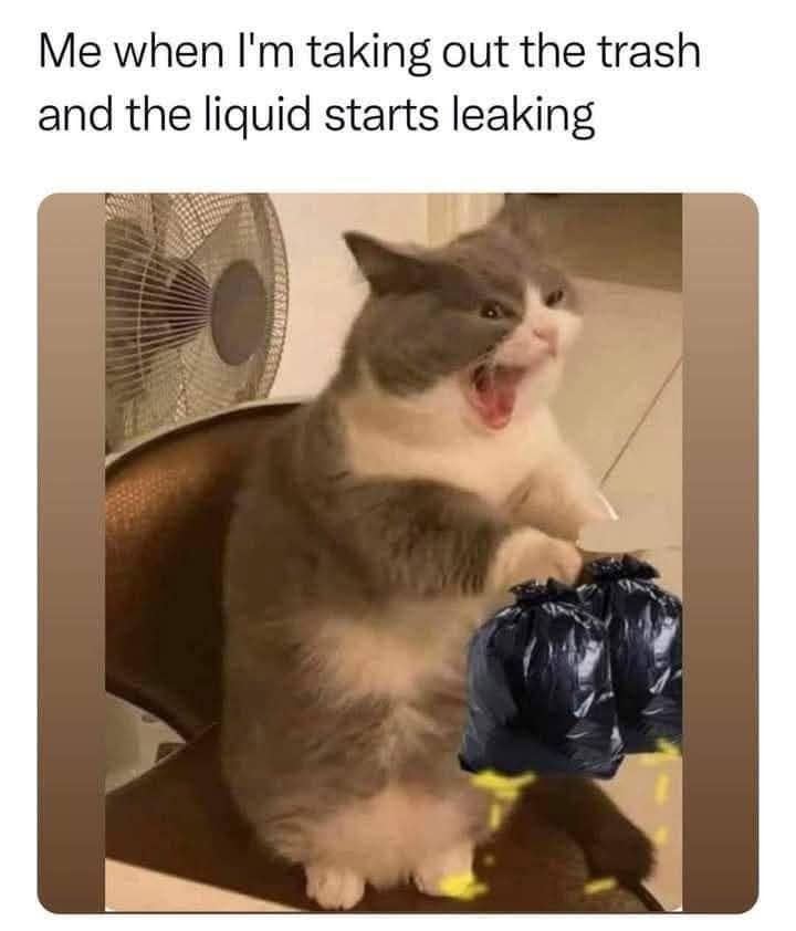 classic memes, vintage memes, viral tweets, timeless memes, older memes, internet staples, tweet nostalgia, short comedic lines, vintage viral humor, forever-laugh jokes, net relics, best memes, old memes