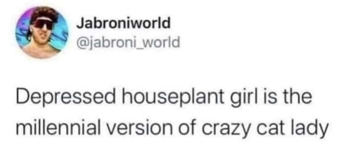 classic memes, vintage memes, viral tweets, timeless jokes, well-known internet hits, enduring funnies, nostalgic memes, reminiscent humor, old-school laughs, retro comedic bits, internet humor, digital wit, online comedic style, net-based giggles, top posts, social quips, trending microblog lines, old memes, best memes