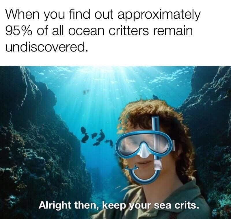 When you find out approximately 95% of all ocean critters remain undiscovered. )e) Alright then, keep your sea crits.
