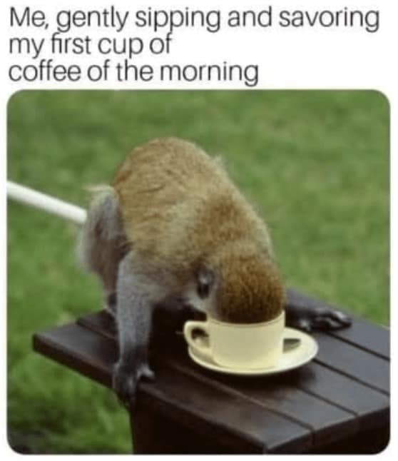 coffee meme, coffee memes, caffeine memes, funny coffee memes, espresso memes, latte jokes, coffee humor, morning memes, coffee addict memes, coffee jokes, barista memes, coffee lovers, caffeine jokes, brew memes, coffee dump, coffee funny pics, coffee life, bean memes, coffee comedy, coffee obsession